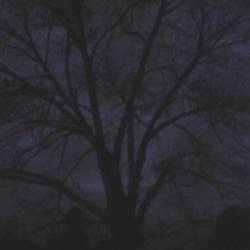 Fear Not Death : Beyond the Sea